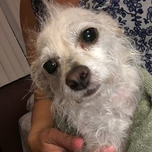 Meet your Posher, Rosa